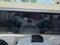 2027 Hyundai PALISADE HYBRID SEL Premium 7P