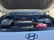 2027 Hyundai PALISADE HYBRID Calligraphy Black Ink